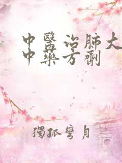 中医治肺大泡化中药方剂