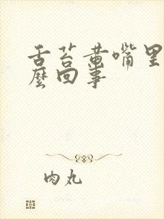 舌苔黄嘴里苦怎么回事