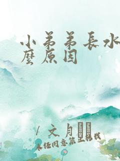 小弟弟长水泡什么原因