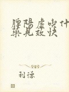 脾阳虚吃什么中药见效快