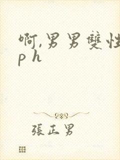 啊,男男双性np h