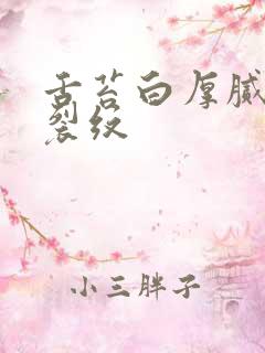 舌苔白厚腻中有裂纹