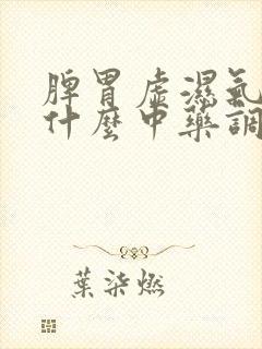 脾胃虚湿气重吃什么中药调理好