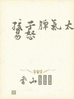 孩子脾气太暴躁易怒