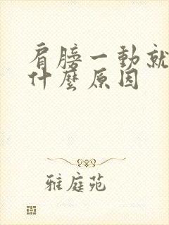 肩膀一动就疼是什么原因