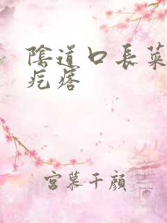 阴道口长菜花状疙瘩