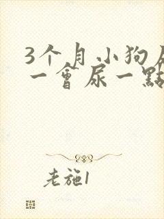 3个月小狗尿频一会尿一点