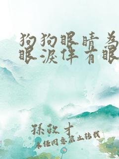 狗狗眼睛为何有眼泪伴有眼屎