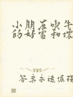 小朋友吃牛油果的好处和坏处