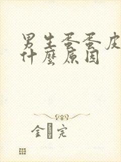 男生蛋蛋皮疼是什么原因