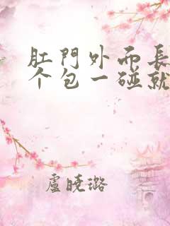 肛门外面长了一个包一碰就疼