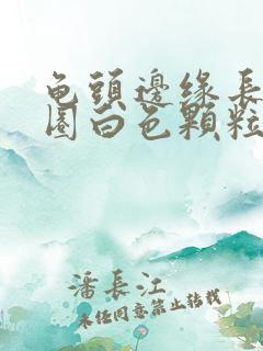 龟头边缘长了一圈白色颗粒有点痒