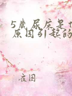 5岁尿床是什么原因引起的