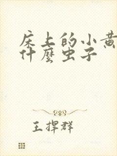 床上的小黄虫是什么虫子