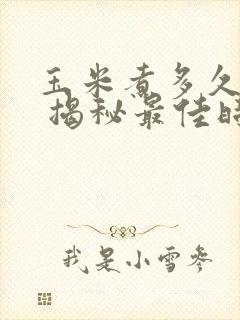 玉米煮多久能熟 揭秘最佳时间