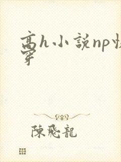 高h小说np快穿