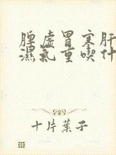 脾虚胃寒肝火旺湿气重吃什么药