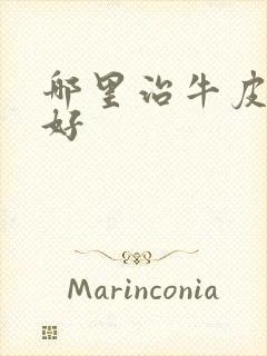 哪里治牛皮血癣好