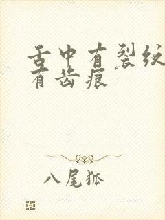 舌中有裂纹舌边有齿痕