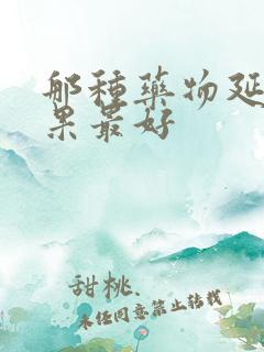 那种药物延时效果最好