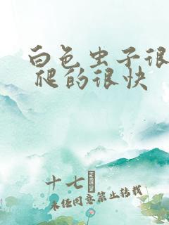 白色虫子很细小 爬的很快