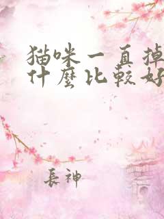 猫咪一直掉毛吃什么比较好