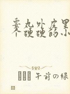 睾丸外皮里面有个硬硬的小疙瘩