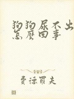 狗狗尿不出尿是怎么回事