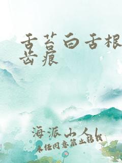 舌苔白舌根黄有齿痕