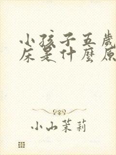 小孩子五岁还尿床是什么原因造成的