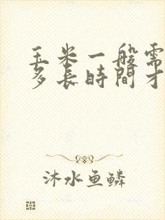 玉米一般需要煮多长时间才可以熟