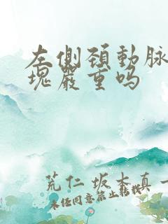 左侧颈动脉软斑块严重吗