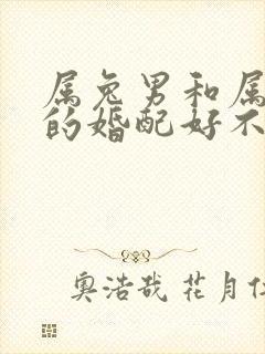 属兔男和属蛇女的婚配好不好