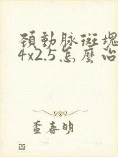 颈动脉斑块9.4x2.5怎么治