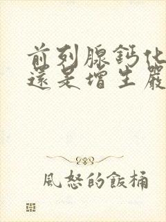 前列腺钙化严重还是增生严重