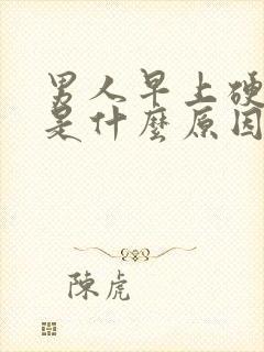 男人早上硬不起是什么原因