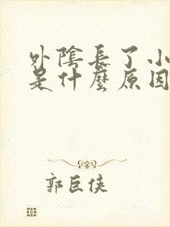 外阴长了小疙瘩是什么原因