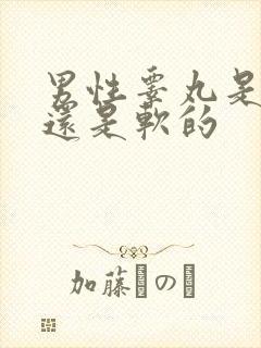 男性睾丸是硬的还是软的