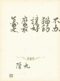 怎么让猫不掉毛是最好的办法