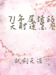 71年属猪的今天财运怎么样