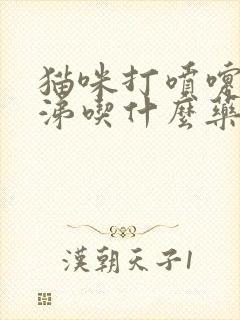 猫咪打喷嚏流鼻涕吃什么药效果好