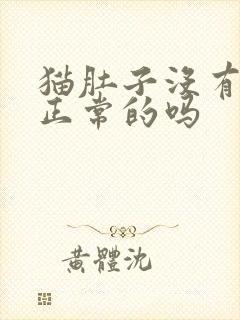 猫肚子没有毛是正常的吗