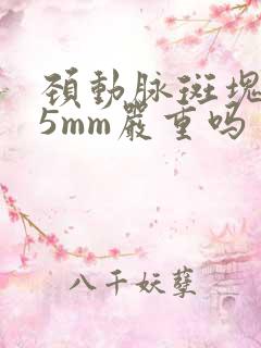 颈动脉斑块3.5mm严重吗