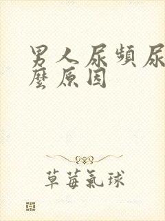 男人尿频尿是什么原因