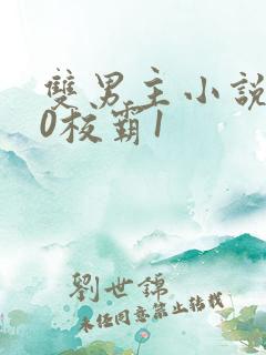 双男主小说学霸0校霸1