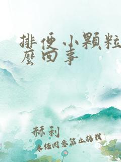 排便小颗粒状怎么回事