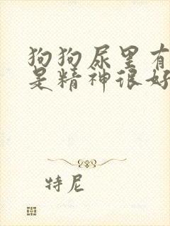 狗狗尿里有血但是精神很好