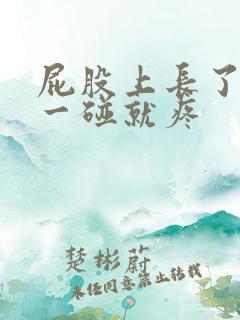 屁股上长了个包一碰就疼