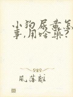 小狗尿黄怎么回事,用啥药?