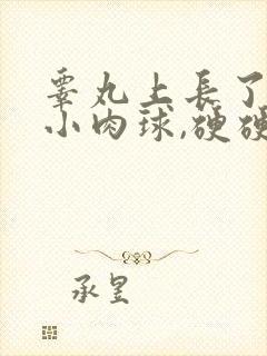 睾丸上长了一个小肉球,硬硬的